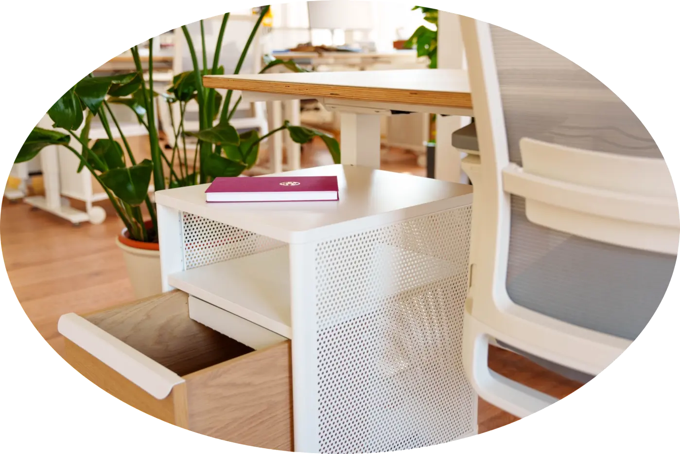 Dein Wohnzimmer gehört wieder dir